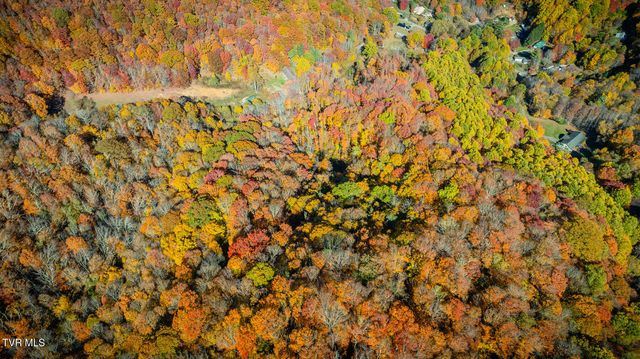 131 Hughes Hollow Road, Roan Mountain, TN 37687