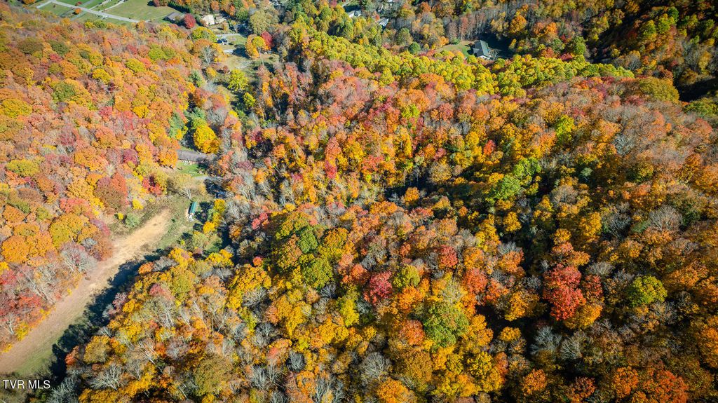 131 Hughes Hollow Road, Roan Mountain, TN 37687