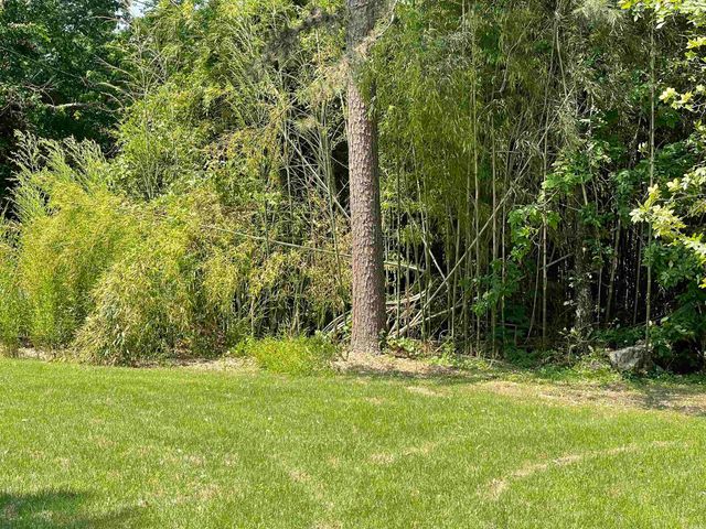 395 Wood Grove Lane, Higden, AR 72067