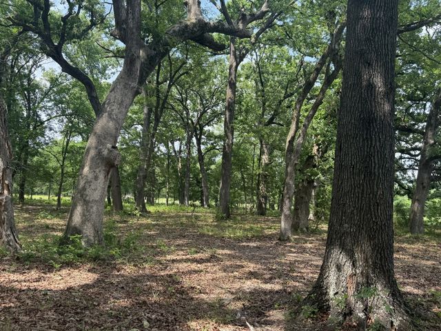 276 Fm 71, Mt Pleasant, TX 75455