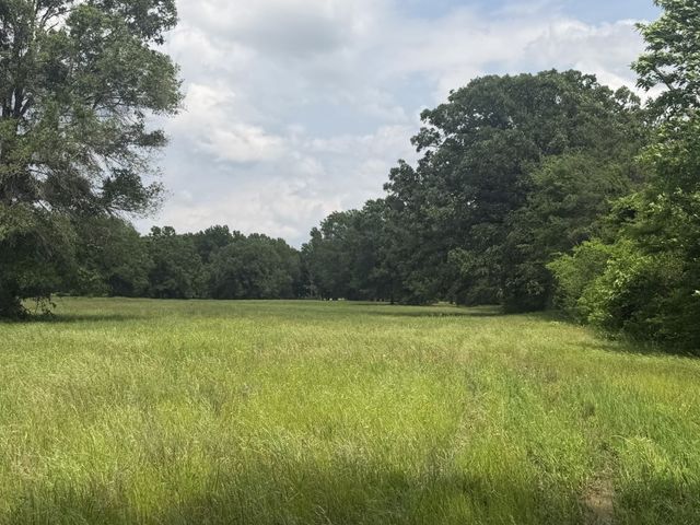 276 Fm 71, Mt Pleasant, TX 75455