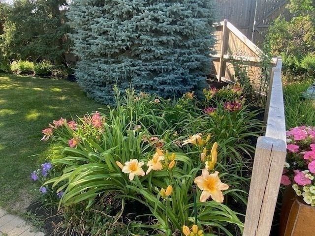 5 Sachem Rd, Needham, MA 02494