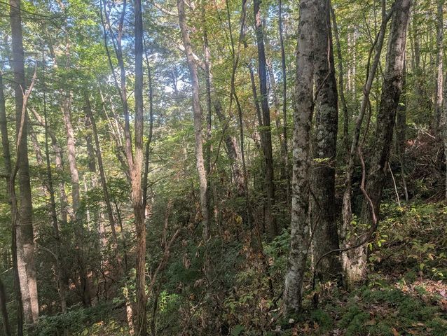 5.47 Ac Sierra Run, Blairsville, GA 30512