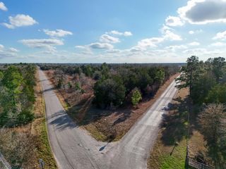 Lot 10 South Old Potato RD, Paige, TX 78659