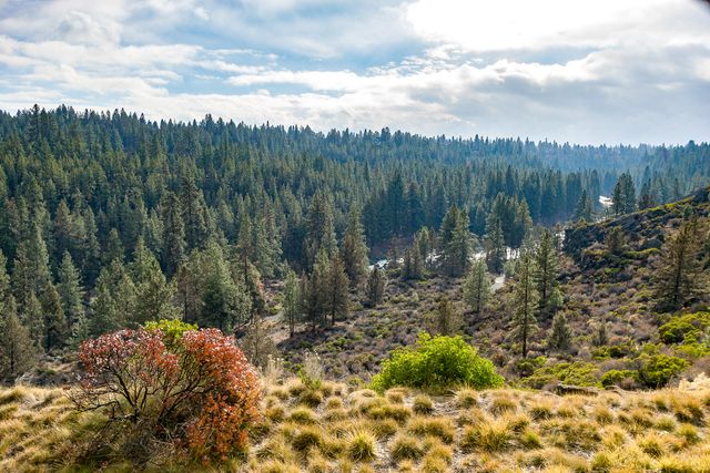 19717 Mt Bachelor Dr. 330E, Bend, OR 97702