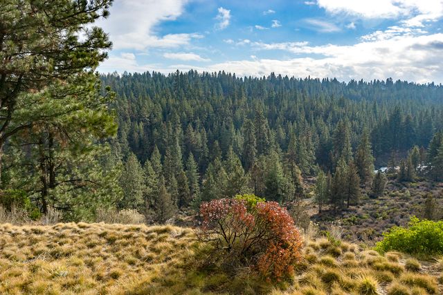 19717 Mt Bachelor Dr. 330E, Bend, OR 97702
