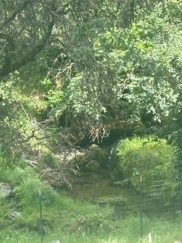 1215 Spring Crest Ct, Placerville, CA 95667