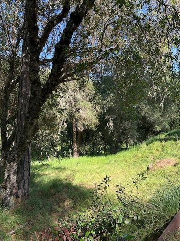 1215 Spring Crest Ct, Placerville, CA 95667