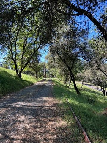 1215 Spring Crest Ct, Placerville, CA 95667