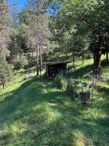 1215 Spring Crest Ct, Placerville, CA 95667