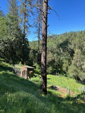 1215 Spring Crest Ct, Placerville, CA 95667