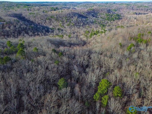 260 County Road 1219, Falkville, AL 35622