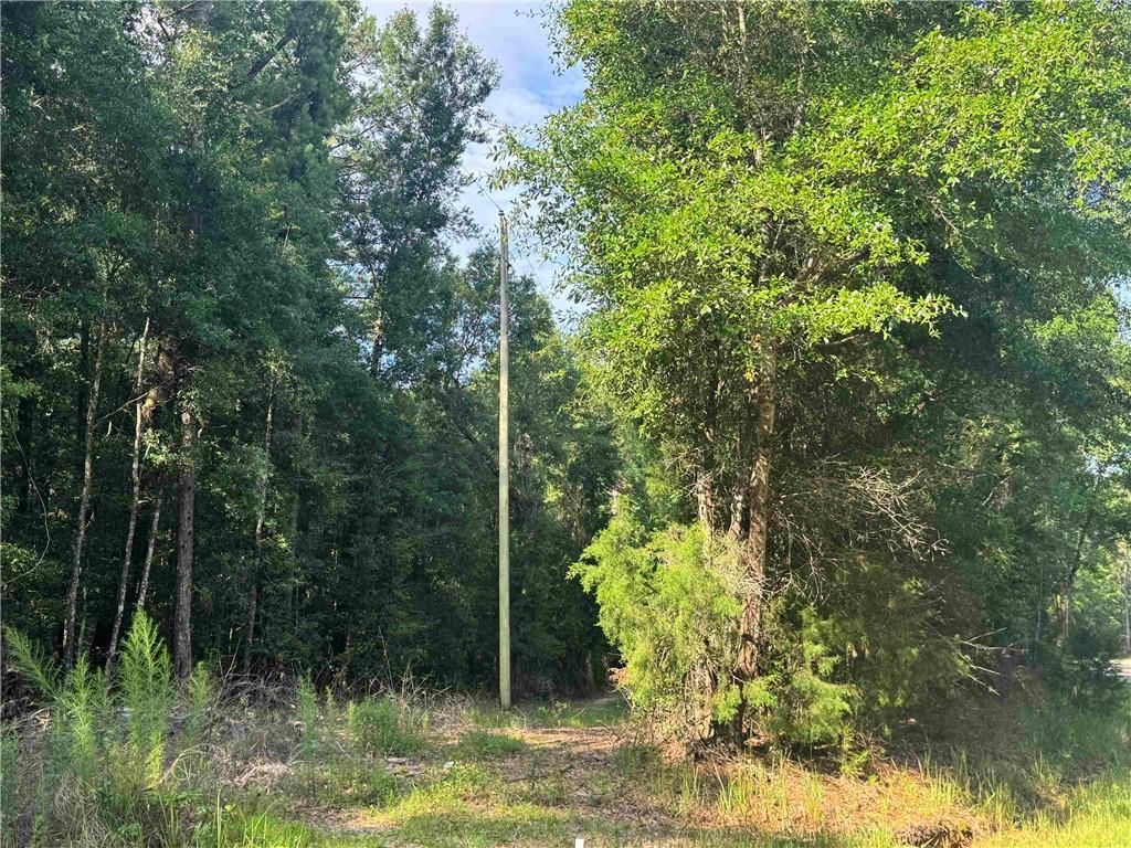 9050 Rice Creek Road, Stockton, AL 36579 — photo 4