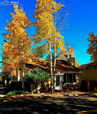 800 Columbine Village Drive B, Woodland Park, CO 80863