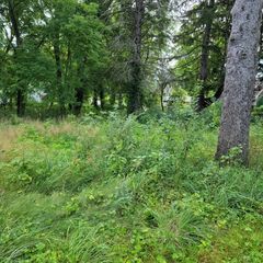 25570 W High Street, Wauconda, IL 60084