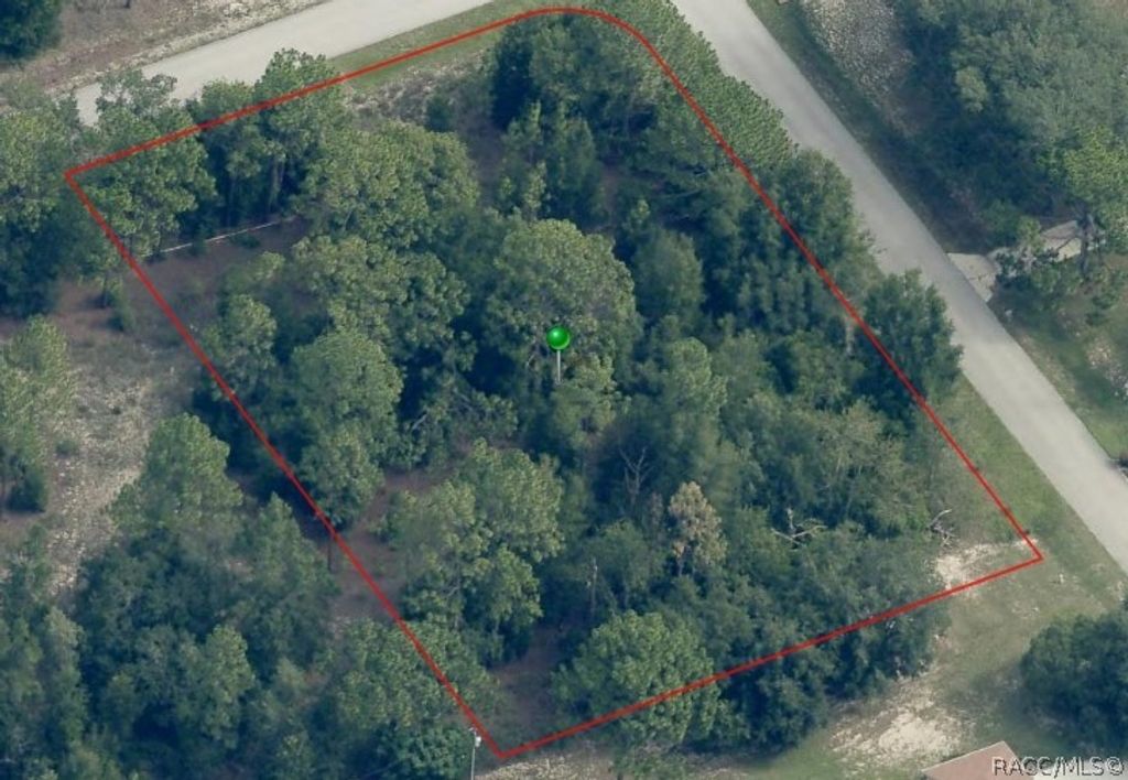 2004 W Huntington Drive, Beverly Hills, FL 34465