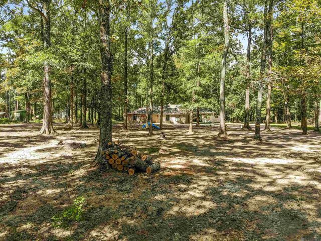 11232 Buddy Ellis Rd, Denham Springs, LA 70726