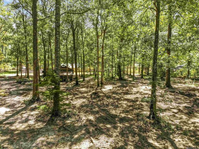 11232 Buddy Ellis Rd, Denham Springs, LA 70726