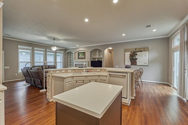 18 Coachman Ridge Place, The Woodlands, TX 77382