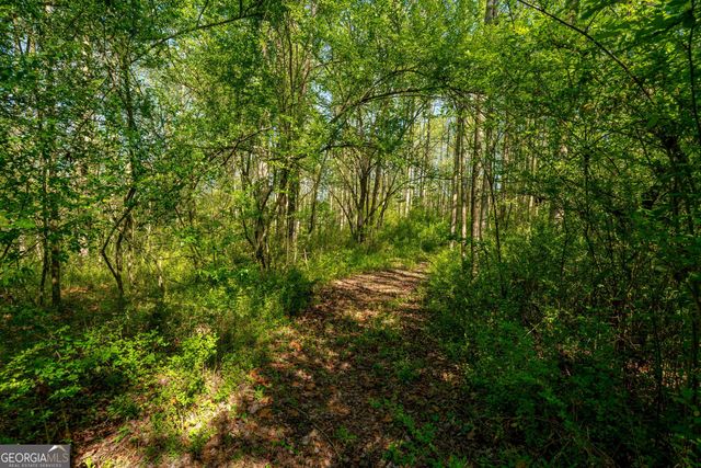 0 Glade Rocks Springs Road, Clarkesville, GA 30523