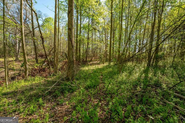 0 Glade Rocks Springs Road, Clarkesville, GA 30523