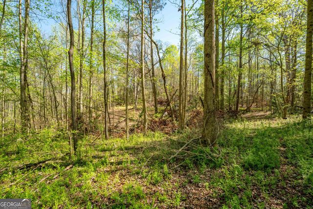 0 Glade Rocks Springs Road, Clarkesville, GA 30523