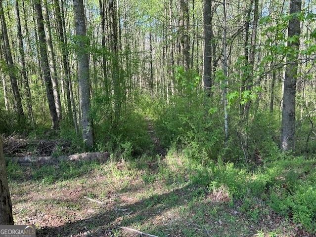 0 Glade Rocks Springs Road, Clarkesville, GA 30523