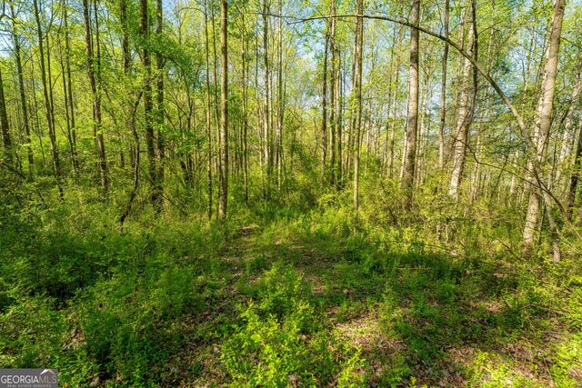 0 Glade Rocks Springs Road, Clarkesville, GA 30523