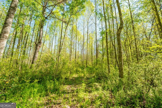0 Glade Rocks Springs Road, Clarkesville, GA 30523