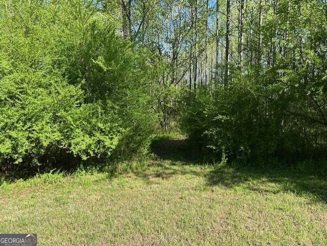 0 Glade Rocks Springs Road, Clarkesville, GA 30523