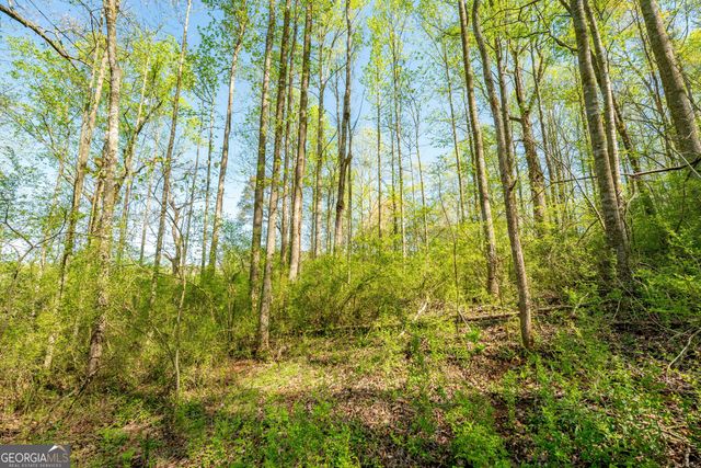 0 Glade Rocks Springs Road, Clarkesville, GA 30523