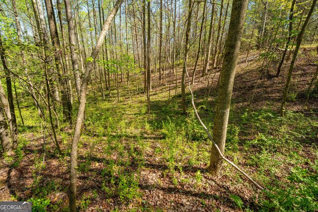 0 Glade Rocks Springs Road, Clarkesville, GA 30523
