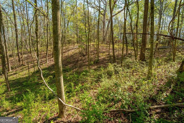 0 Glade Rocks Springs Road, Clarkesville, GA 30523
