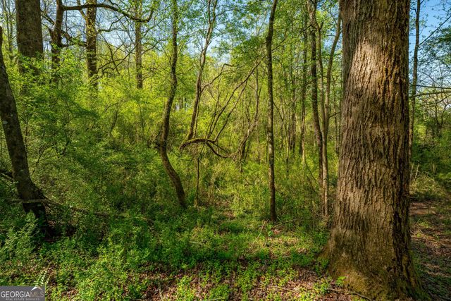 0 Glade Rocks Springs Road, Clarkesville, GA 30523