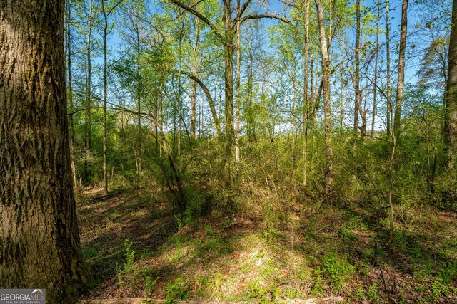 0 Glade Rocks Springs Road, Clarkesville, GA 30523