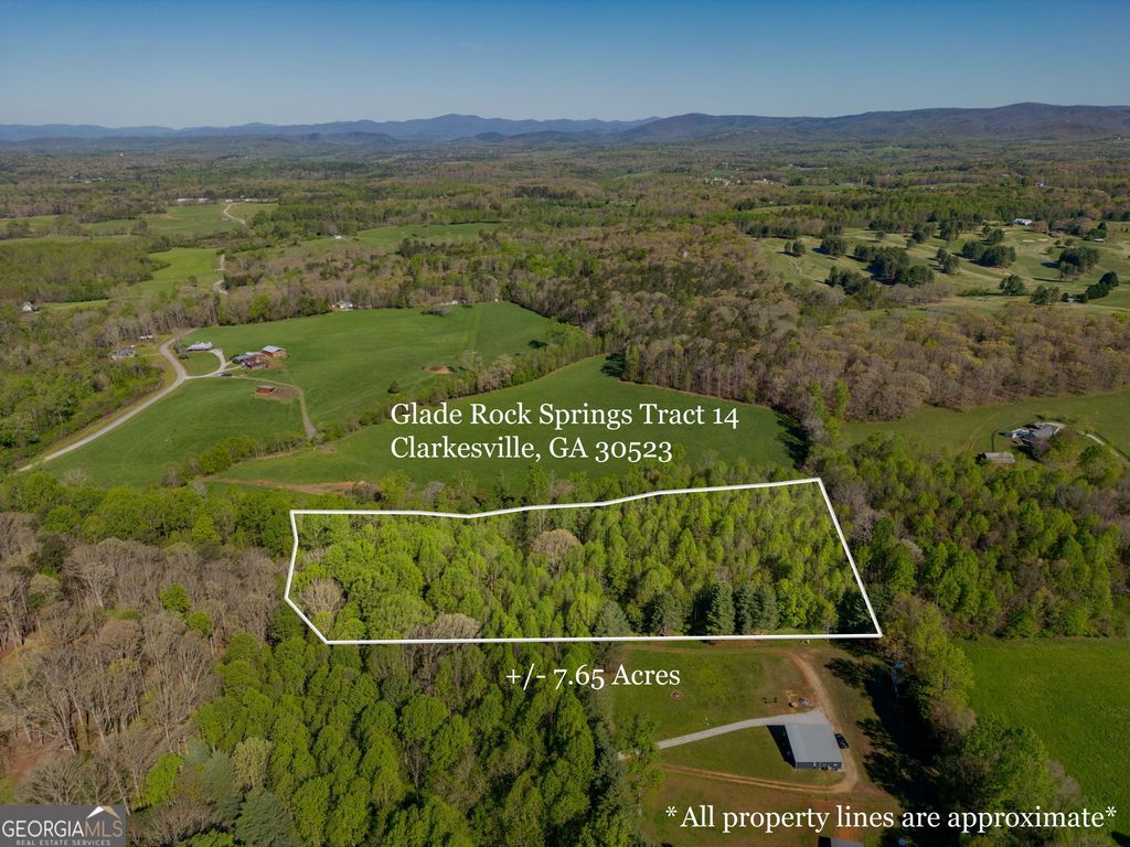 0 Glade Rocks Springs Road, Clarkesville, GA 30523
