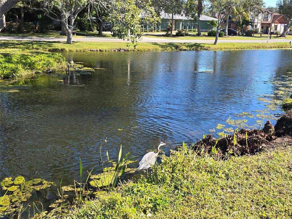 Image 5 of property listing at 1008 CIMARRON CIR, Bradenton, FL 34209