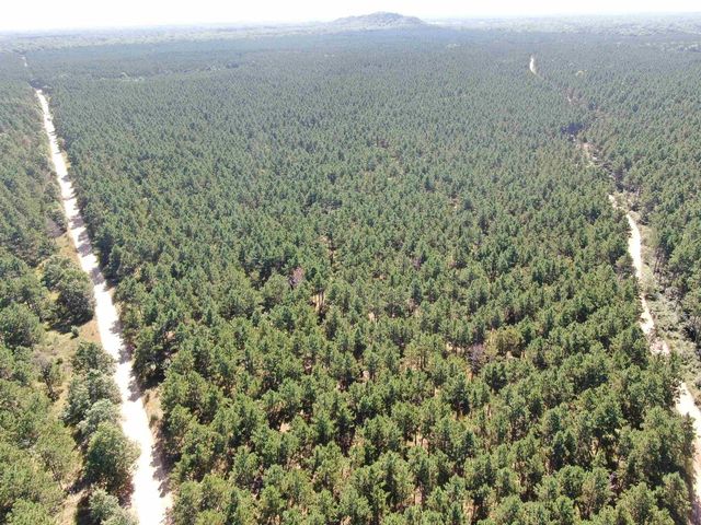 77 AC State Highway 13 Acres, Nekoosa, WI 54457