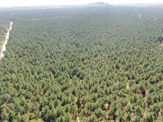 77 AC State Highway 13 Acres, Nekoosa, WI 54457