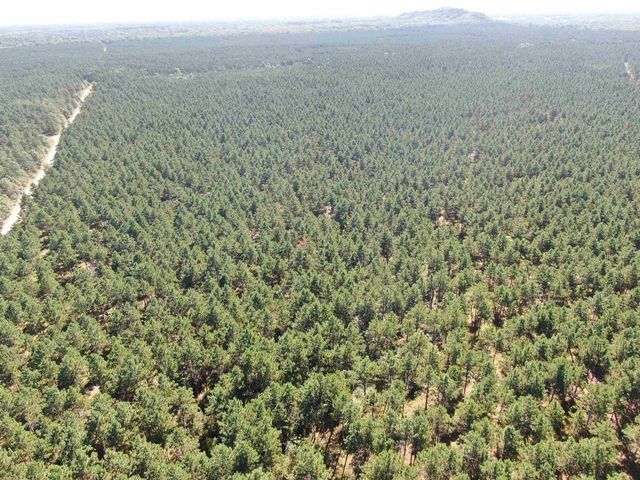 77 AC State Highway 13 Acres, Nekoosa, WI 54457