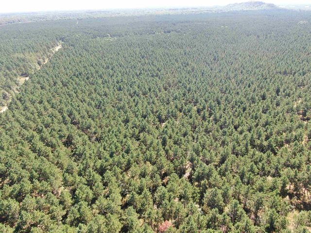 77 AC State Highway 13 Acres, Nekoosa, WI 54457