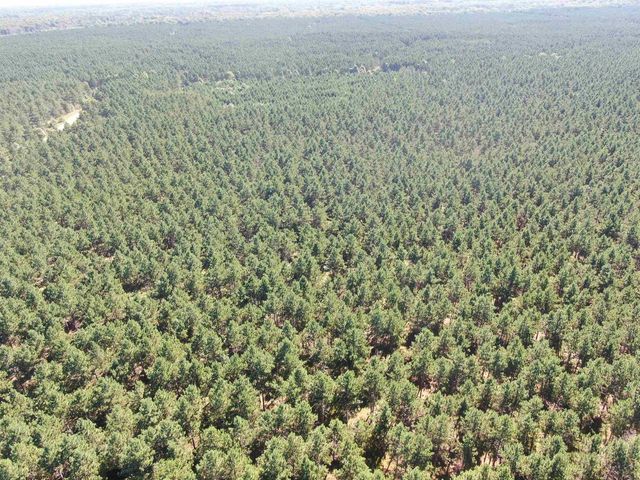 77 AC State Highway 13 Acres, Nekoosa, WI 54457