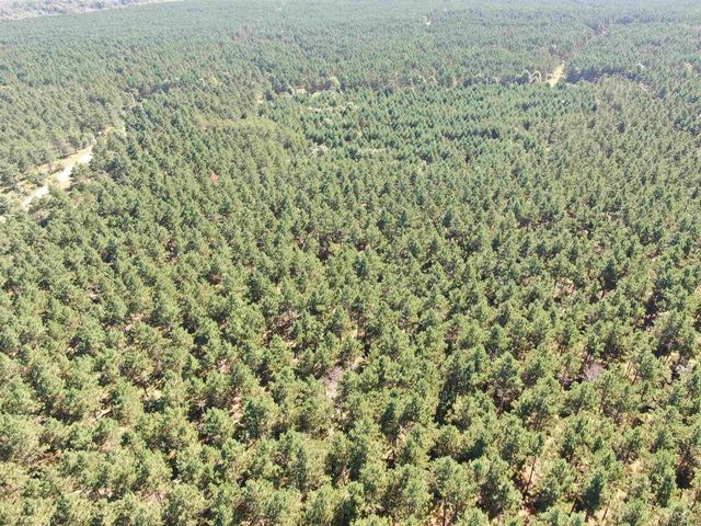 77 AC State Highway 13 Acres, Nekoosa, WI 54457