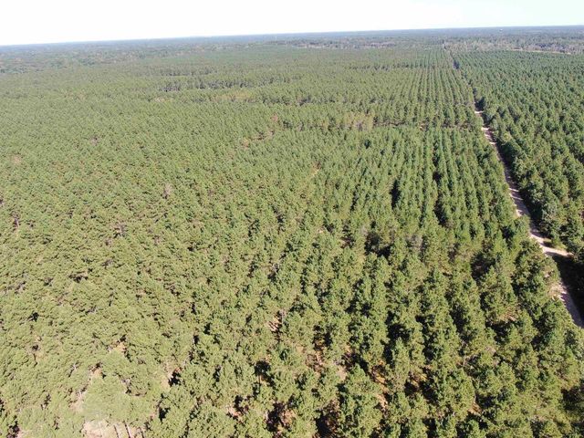 77 AC State Highway 13 Acres, Nekoosa, WI 54457