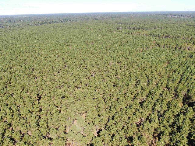 77 AC State Highway 13 Acres, Nekoosa, WI 54457