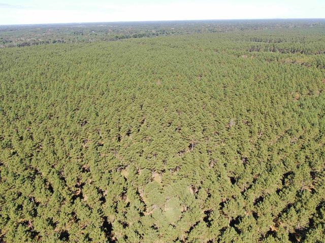 77 AC State Highway 13 Acres, Nekoosa, WI 54457