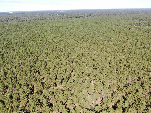 77 AC State Highway 13 Acres, Nekoosa, WI 54457