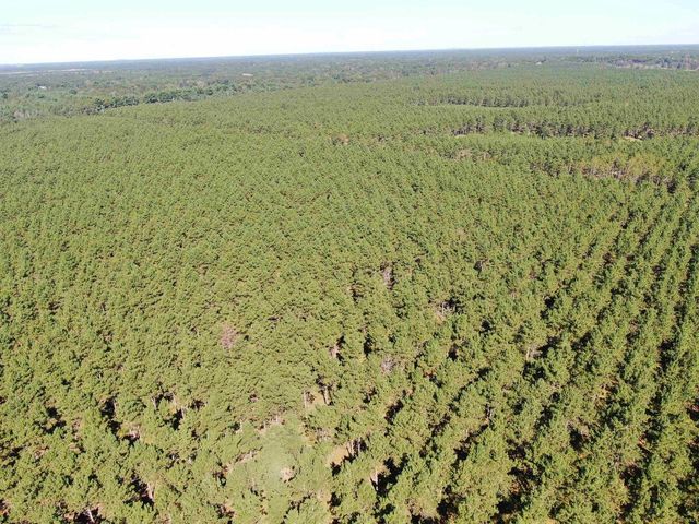 77 AC State Highway 13 Acres, Nekoosa, WI 54457
