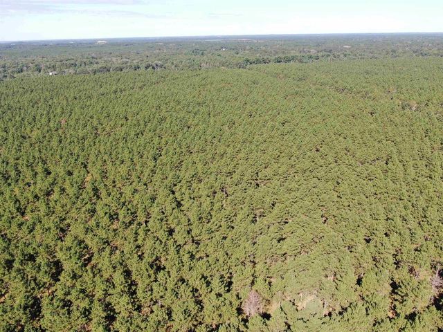 77 AC State Highway 13 Acres, Nekoosa, WI 54457