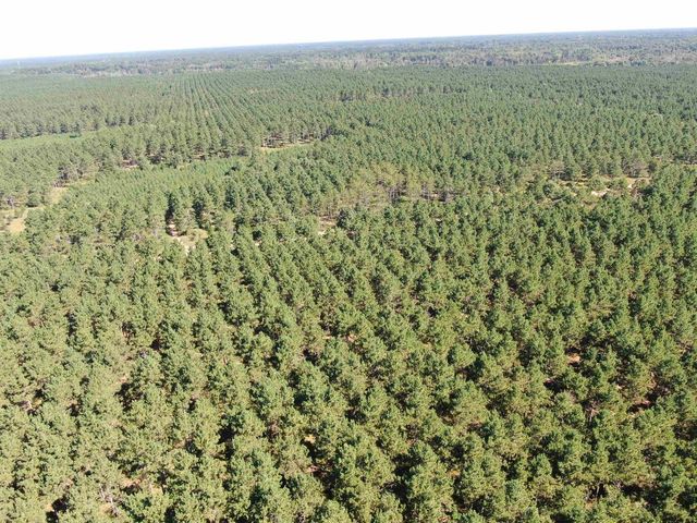 77 AC State Highway 13 Acres, Nekoosa, WI 54457